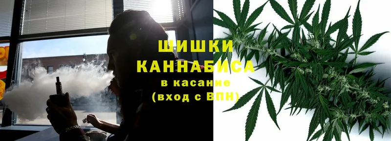 Бошки марихуана THC 21%  Вельск 